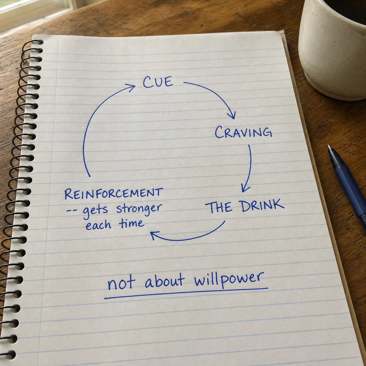 Handwritten notebook diagram of the craving loop: cue, craving, the drink, reinforcement, not about willpower