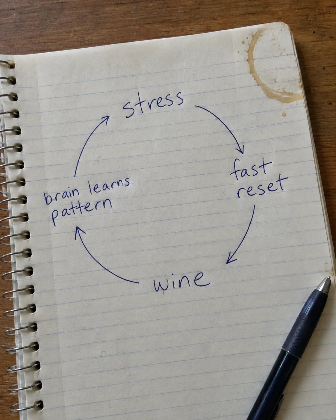 Handwritten journal diagram of the stress, fast reset, wine, brain-learns-pattern craving loop