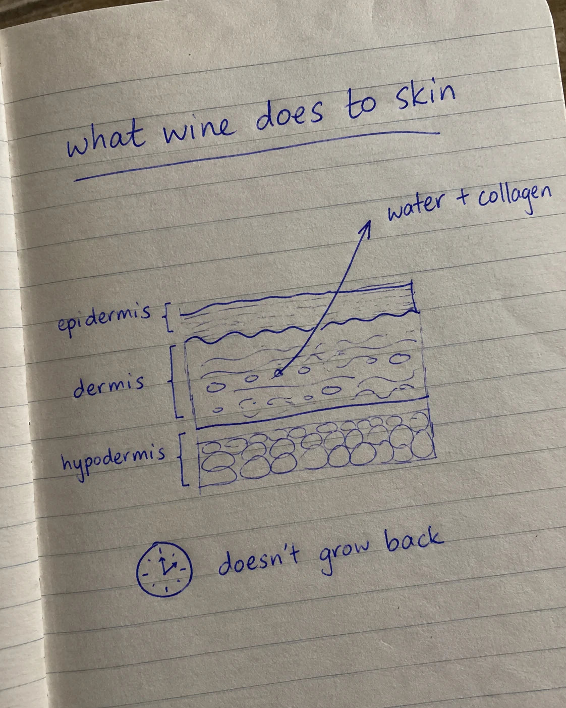 Handwritten notebook diagram showing collagen loss in skin