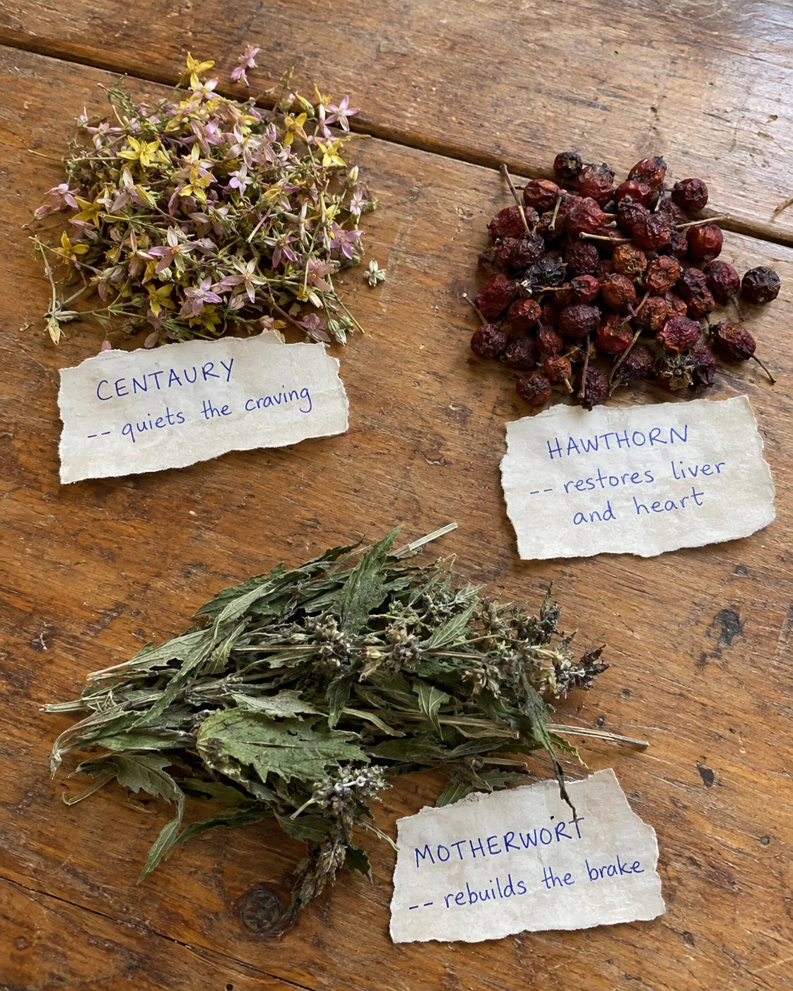 Centaury, Hawthorn, and Motherwort laid out with handwritten tags describing each plant's job