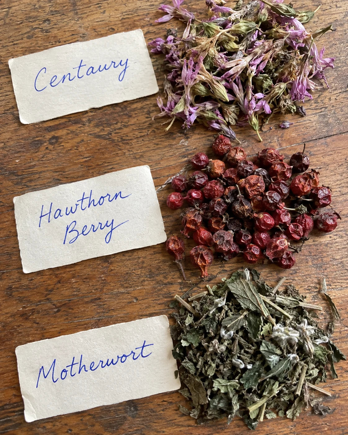 Centaury, Hawthorn Berry, and Motherwort herbs laid out with handwritten labels