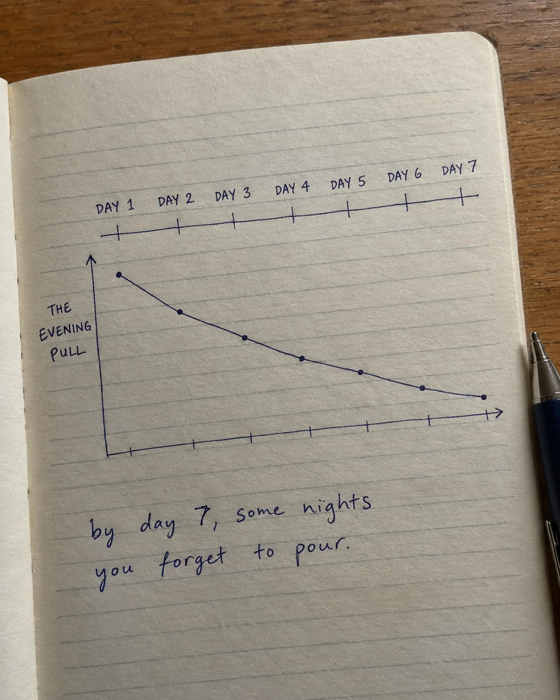 Hand-drawn journal diagram showing the evening pull declining across the first week