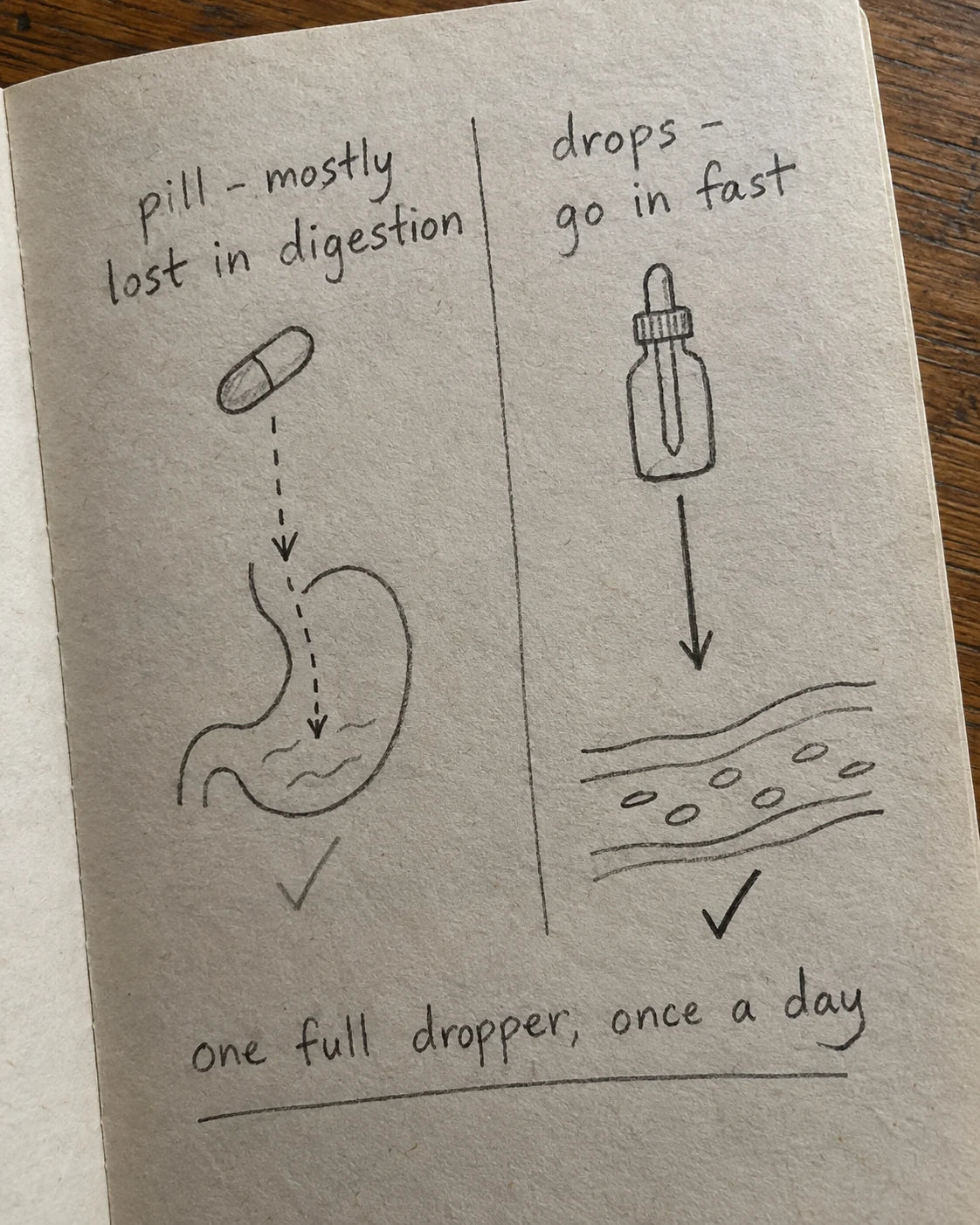 A handwritten journal page comparing a pill mostly lost in digestion to drops that go in fast