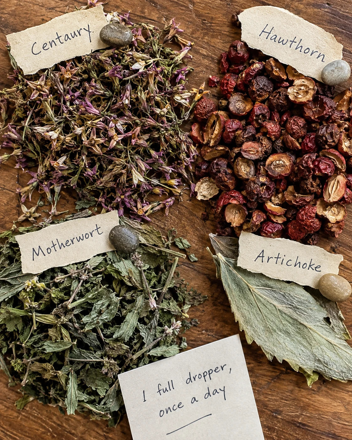 Dried centaury, hawthorn, motherwort and artichoke laid out with handwritten labels, plus a one-full-dropper dosage note
