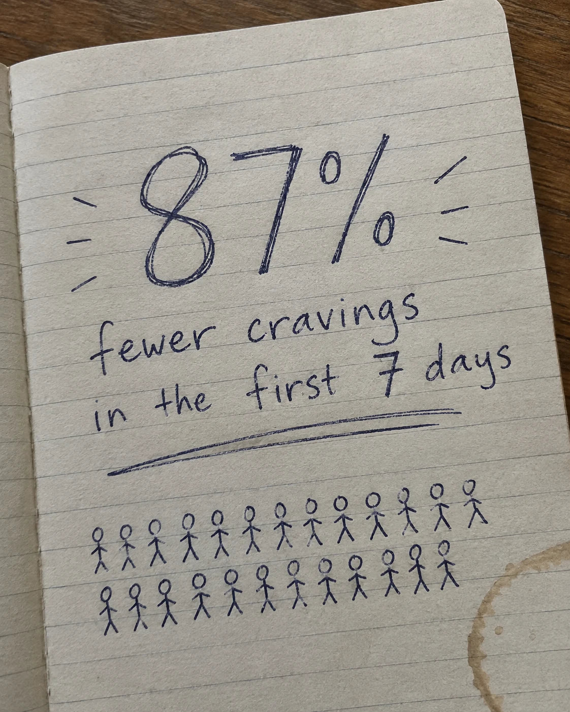Handwritten journal page with 87% statistic and tally of families
