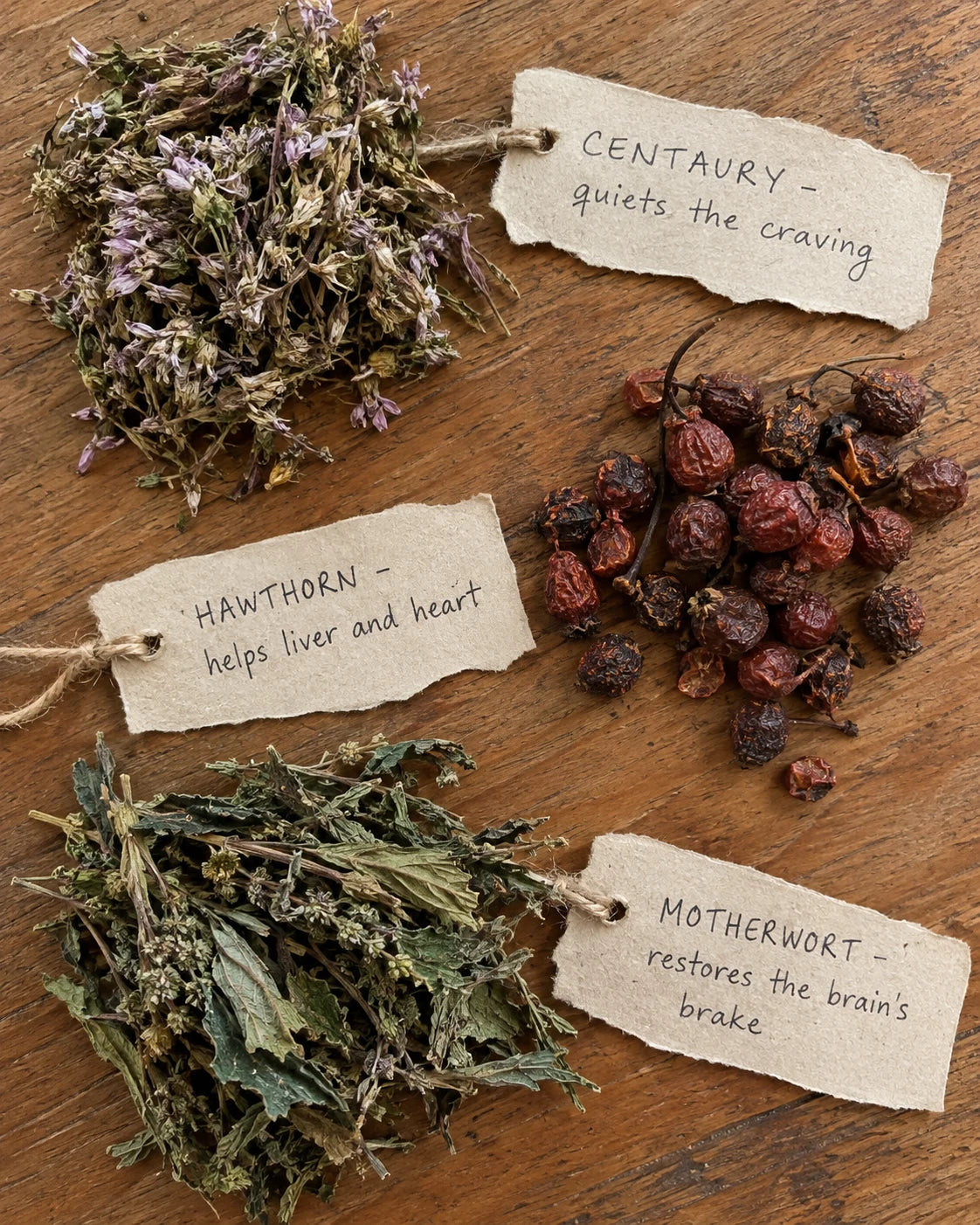 Centaury, hawthorn, and motherwort laid out with handwritten tags